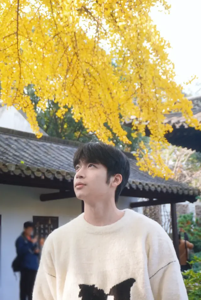 Since ancient times, Guangling has been full of beautiful scenery, so why only visit Yangzhou in March?