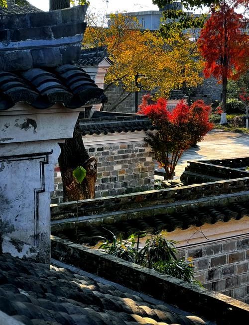 江南最後的秘境!慈城古鎮一日遊保姆級攻略 江南最後的秘境!慈城古鎮一日遊保姆級攻略