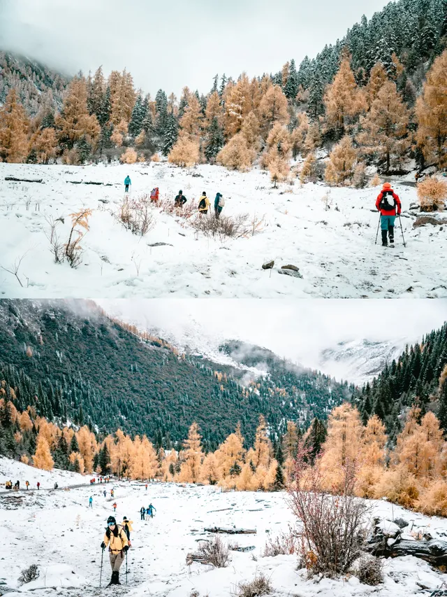 黨嶺3天2夜徒步攻略(不露營版) 黨嶺3天2夜徒步攻略(不露營版)