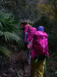 現在徒步正好|帶上搭子,來這裡與秋天約會