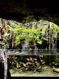 不愧是上海公園美到「未來感」拉滿