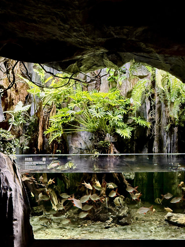 不愧是上海公園美到「未來感」拉滿 不愧是上海公園美到「未來感」拉滿