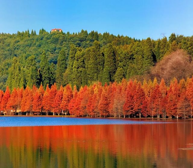 昆明等地5天遊這些隱藏玩法必看