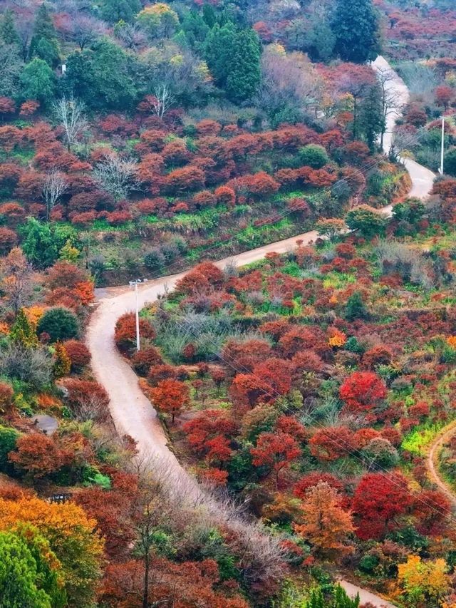 棲霞口2天1晚人均650!學生黨也能衝的山海治癒之旅 棲霞口2天1晚人均650!學生黨也能衝的山海治癒之旅