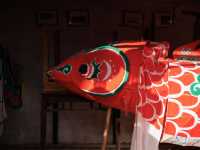 在「江南第一村」呈坎，我找到了徽州最原始的光影密碼。