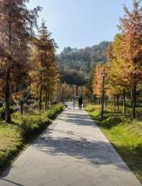 宋山煥新回歸！宜昌周邊爬山吸氧好去處