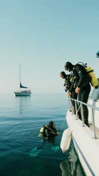 蘇梅島潛水，與魔鬼魚共舞！