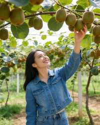 眉縣保姆級攻略帶你遊玩絕美景點