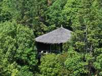 江浙滬世外桃源天花板裸心谷度假村超全測評!