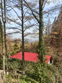 莫干山太美了 好棒完成人生第一次徒步