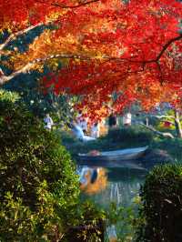 花港觀魚確實美得超出!附賞楓攻略