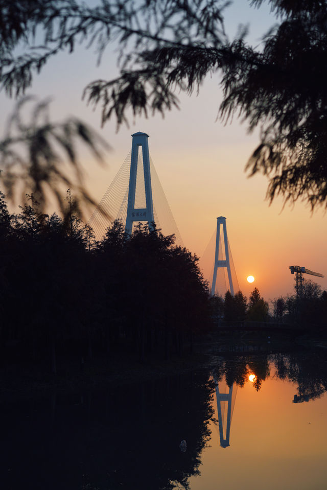 魔都的冬天有多美！紅得像火