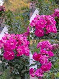 冬日裡的日落與山水完美結合！