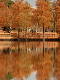 18圖帶你看深圳秋冬限定美景