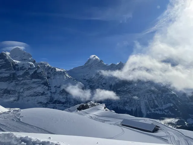 交換|瑞士的冬天 first山 交換|瑞士的冬天 first山