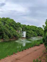 冬天去林芝2日遊必看攻略