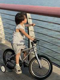 避開人擠人深圳灣親子騎行攻略,新手友好