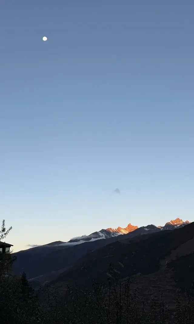 川西｜真的好幸運 拍到日照金山了！還有彩林