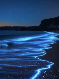 12月1日起,深圳又一「玻璃海」正式免費開放