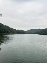 江門隱秘美景森林湖