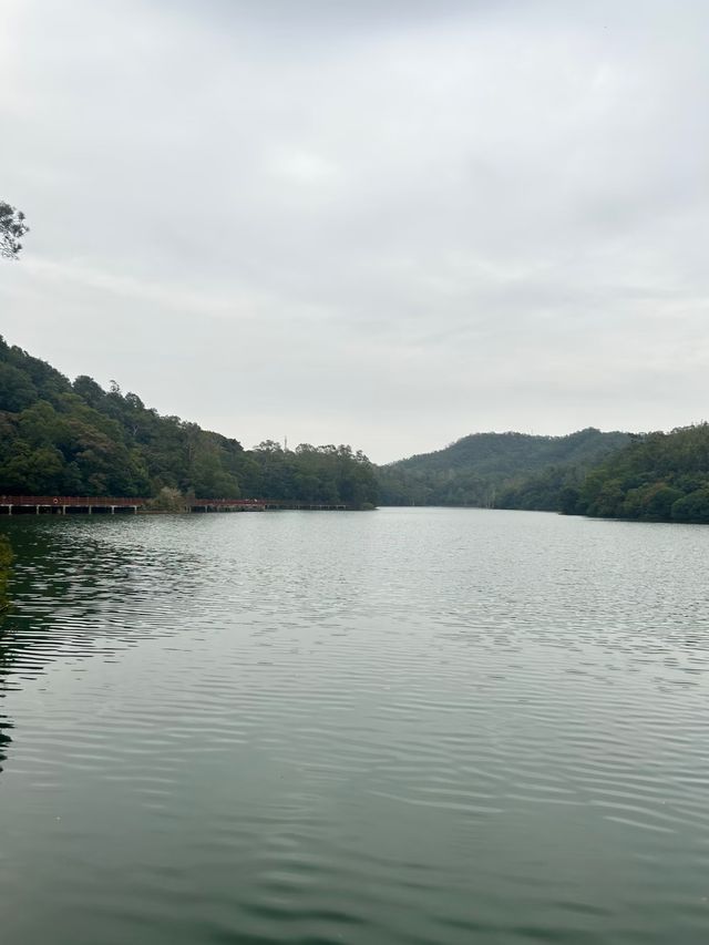 江門隱秘美景森林湖 江門隱秘美景森林湖