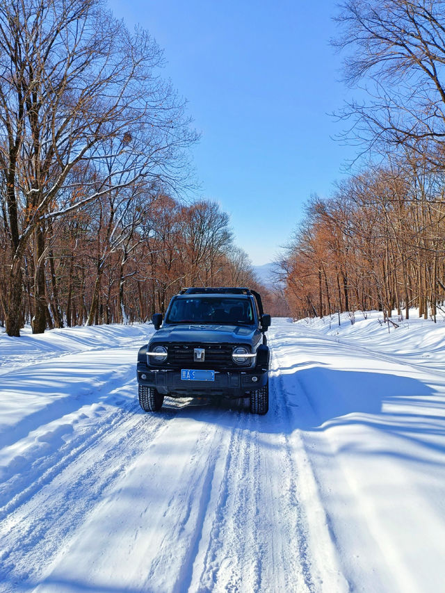 【哈爾濱·原生態雪景穿越路線】