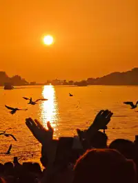 無錫｜鼋頭渚的海鷗從不失約