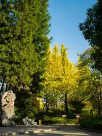 漓江畔的免費神仙體驗！睡進山水畫裡