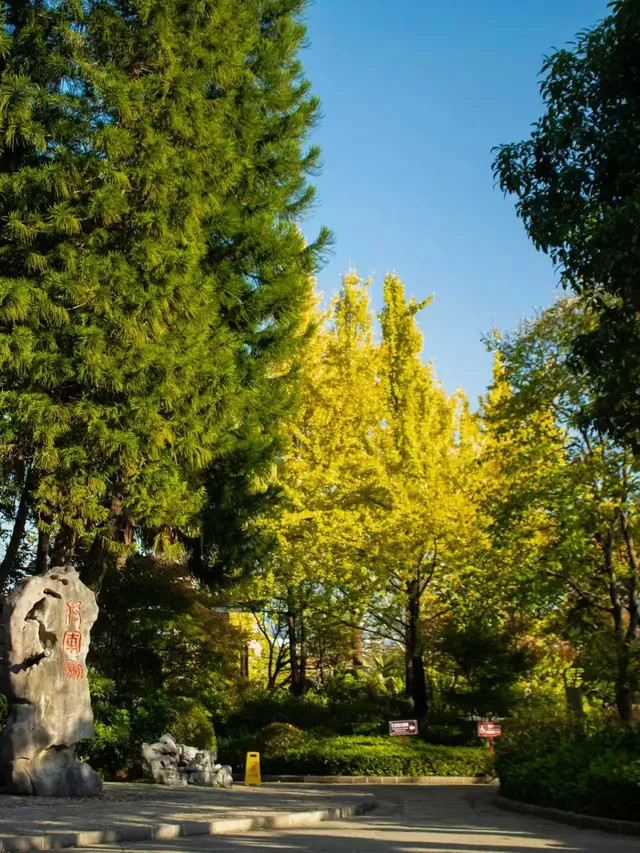 漓江畔的免費神仙體驗！睡進山水畫裡