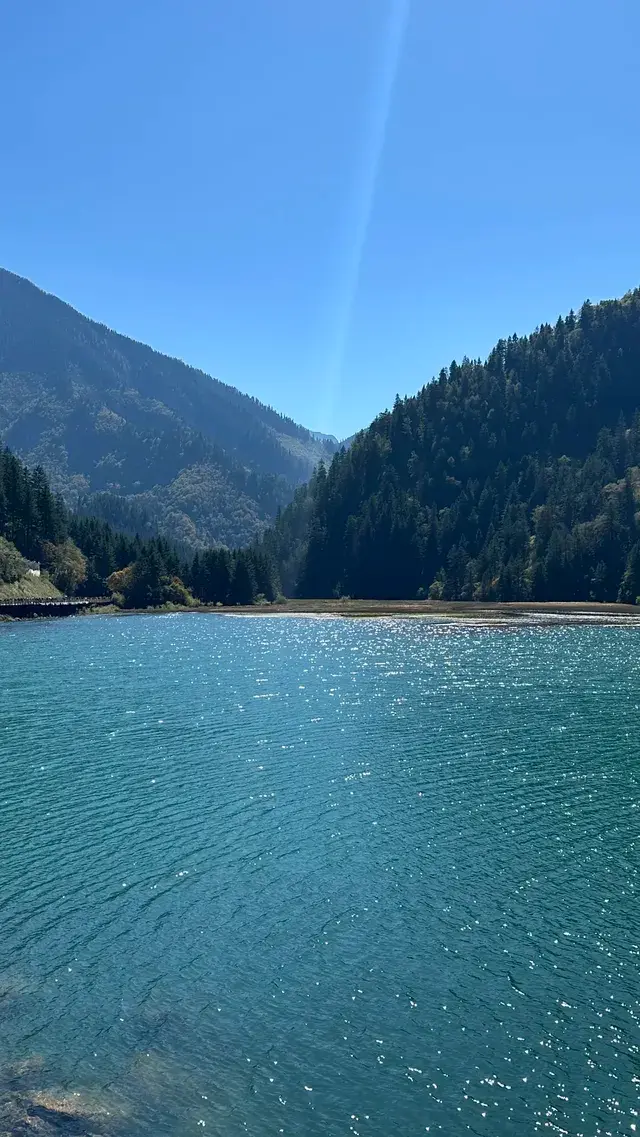 不上班後 人生都明媚了