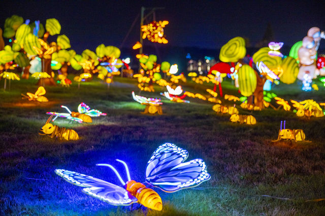 寧波達人村·秋假必玩雙棲