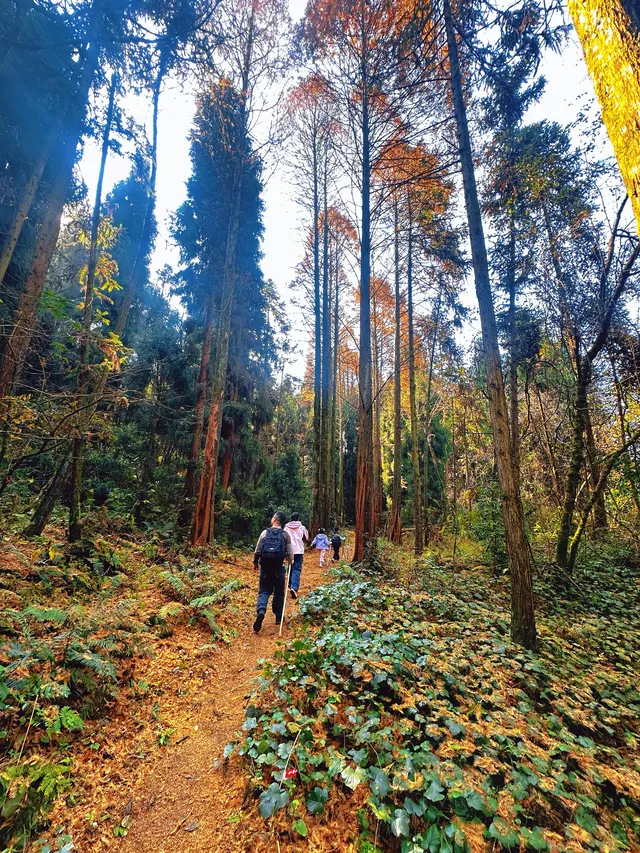 成都霧霾天的救命徒步!蒲虹路6公里,拿捏! 成都霧霾天的救命徒步!蒲虹路6公里,拿捏!