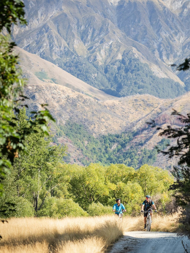 自由行紐西蘭！中文包車定制可辦簽證