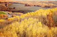 北京自駕阿爾山追秋