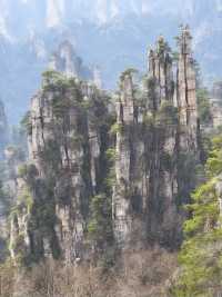 張家界4日包車遊一篇攻略全搞定