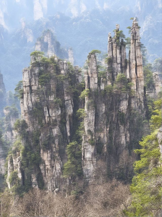 張家界4日包車遊一篇攻略全搞定 張家界4日包車遊一篇攻略全搞定