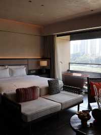 誰還沒來版納過夏天