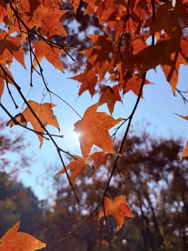 這風景好美,真的好想讓所有人🫘看到 這風景好美,真的好想讓所有人🫘看到