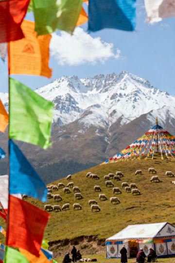 Синин – это не просто мимолетное впечатление: вас ждет настоящий праздник глубины в этом древнем городе на плато.

2261-метровая «Летняя столица Китая» сочетает в себе тысячелетия культуры Хэхуан с процветающей современной энергией, превращаясь в захватывающее туристическое направление, ради которого стоит совершить особую поездку. От ярко освещенного квартала знаменитостей до богатой коллекции культурных ценностей, от красочных осенних гор до гастрономической прогулки с фейерверками – Синин приглашает вас остановиться и глубоко окунуться в многогранный карнавал над плато.

Ночь становится все более захватывающей, пульс города на плато бьется все громче.
С наступлением ночи пульс Синина начинает биться с удвоенной силой. Пройдитесь по «Улице Леопарда» в северном районе города, и вы окажетесь в самом центре ночной жизни Синина. Это гораздо больше, чем просто улица с едой, это еще и фантастический театр, где главным героем является «снежный барс»: наивные скульптуры снежных барсов и мультяшные куклы украшают улицы, 100 человек под звуки «боевых барабанов Цинтан» устраивают захватывающий парад, а неожиданные встречи с актерами в национальных костюмах – обычное дело. Более 200 предприятий, освещенных неоновыми огнями, предлагают аутентичные местные цинхайские горячие блюда, нежный йогурт и закуски со всего мира, а воздух наполнен яркими фейерверками. Не менее захватывающими являются модные кварталы, такие как Ли Мэн и Тан Роуд, где переплетаются древняя архитектура и модные торговые центры, а выступления уличных артистов и тематические парады делают ночь полной взаимодействия и сюрпризов.

Путешествие во времени и пространстве и встреча с живой рекой в ​​культурной коллекции.
Днем Синин открывает вам дверь к глубокому пониманию мультикультурализма. На площади Синьнин проходит многомесячная «Культурная коллекция Западного моря 2261 · Хэхуан», настоящий праздник культуры. Здесь вы можете увидеть удивительные произведения искусства, созданные не потомственными мастерами, такие как вышивка и вырезание из бумаги, приобрести уникальные предметы культуры на тему снежного барса и насладиться непрерывными представлениями, такими как многонациональные песни и танцы, а также выступлениями «детей цветов», которые проходят с утра до вечера. Для более систематического знакомства с культурой, восемь тщательно разработанных «Осенних бутиков» предлагают множество вариантов: вы можете отправиться в Цинхайский провинциальный музей, чтобы погрузиться в древнюю цивилизацию Шу с помощью технологии XR;

Окунитесь в золотую осень, сделайте глубокий вдох, рассматривая пейзажи.
Осенью в Синьнине небо высоко, облака ясны, и это идеальное время, чтобы погрузиться в природу. Вы можете отправиться на рассвете на гору Лацзи, понаблюдать, как утренний свет окрашивает море красных облаков с вершины горы на высоте почти 4000 метров, попеть «красные» песни вместе с толпой и почувствовать потрясение, которое пронзает душу. Вы также можете выбрать расслабляющее путешествие по лесу в Национальный лесной парк Харриер Гроув, чтобы вдохнуть спокойствие и свежесть осени, прогуливаясь по залитым солнцем лесам. Для любителей фотографии Синин – еще больший рай. Будь то многоярусный лес Северной горы Взаимной Помощи или чистая вода Даншаня, описанная в книге «Желтая река в мире, гид Цин», вы легко найдете прекрасные кадры.

Праздник вкусовых рецепторов, с улицы Столетнего Годаря невозможно уйти с пустыми руками.
Настоящий вкус Синина скрыт в той самой Нижней улице Наньгуань, с которой «невозможно уйти с пустыми руками». Этот старинный район — настоящая энциклопедия цинхайских вкусов. Следуя карте кулинарных традиций, вы будете очарованы ароматами: хрустящие котлеты из говядины прямо из печи, сочная и нежирная баранина, приготовленная с зубчиком чеснока — аутентичный способ её употребления; освежающая и нежная фаршированная лепёшка с острым бальзамическим уксусом — всё это вызывает аппетит; и, наконец, не забудьте завершить своё путешествие тарелкой традиционного цинхайского йогурта в толстом молочном слое, чтобы ощутить его мягкий, нежный, шелковистый и неповторимый вкус.

От рассвета до заката, от кончика языка до сердца, Синин с максимальным энтузиазмом демонстрирует всё богатство, которое может предложить путешественникам этот древний город на плато. В этом сезоне, отправившись в Синин, вы получите гораздо больше, чем просто живописные виды.