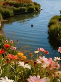 別只念京都！上海這片“海上楓林”美成童話