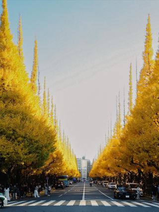 จุดถ่ายรูปสวยๆ ในช่วงฤดูใบไม้ร่วงของเกียวโต! มาแชร์คู่มือการถ่ายภาพในฤดูใบไม้ร่วงกันค่ะ