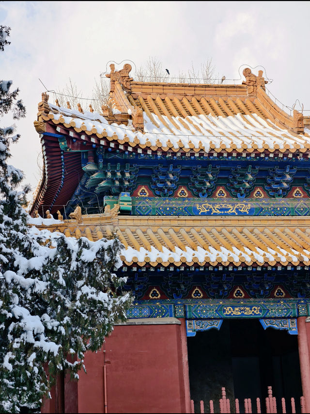 雪鎖岱宗，紅牆映雪話千年