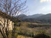山景露台酒店房間下大,空間感十足,放鬆時刻🏞️