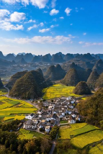 구이저우의 가장 이른 봄을 제가 찾았어요!!