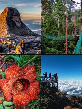 โคตาคินาบาลูไม่ใช่ตัวเลือกที่แย่เลย ป่าฝนและประสบการณ์บนเกาะนั้นน่าทึ่งมาก