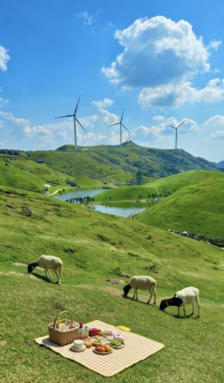 ฉันพบสถานที่สงบสุขใกล้เมืองกว่างโจวแล้ว! ทุ่งหญ้าสีเขียวชอุ่มเหล่านี้สวยงามน่าทึ่งมาก! (มีรูปถ่ายจริงให้ดู)