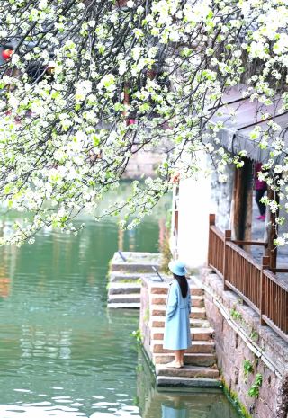 春風が蘭渓に吹き込み、花の世界で千年の非遺産に出会う！