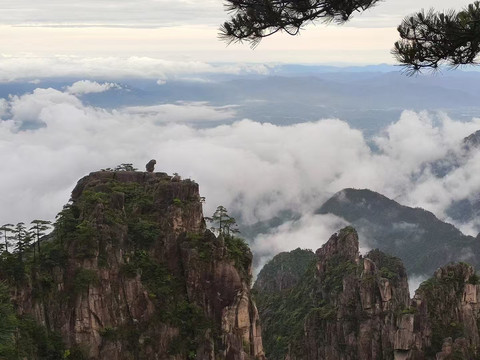 パウル・シュミット式バイオレゾナンス 14 Days to Explore the 