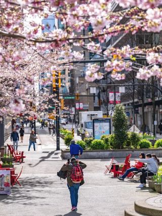 22℃ summer cool paradise! Vancouver family summer stay guide