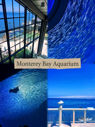 Monterey Bay Aquarium